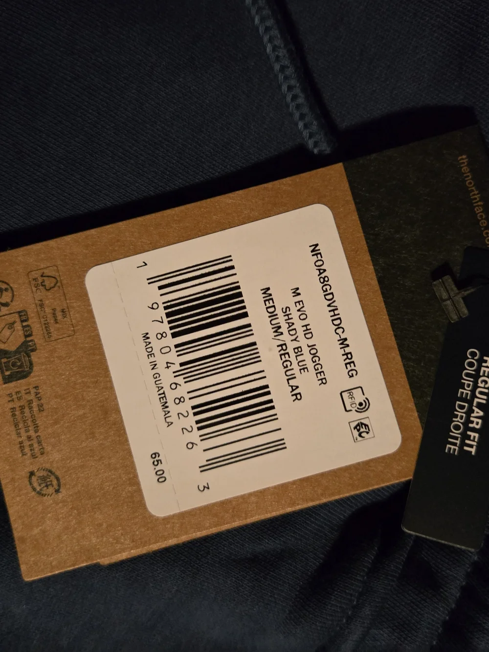 The North Face Men's Blue Evo Jogger Pants